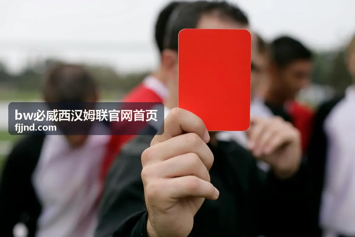 bw必威西汉姆联官网首页 沟通与资料整理场景